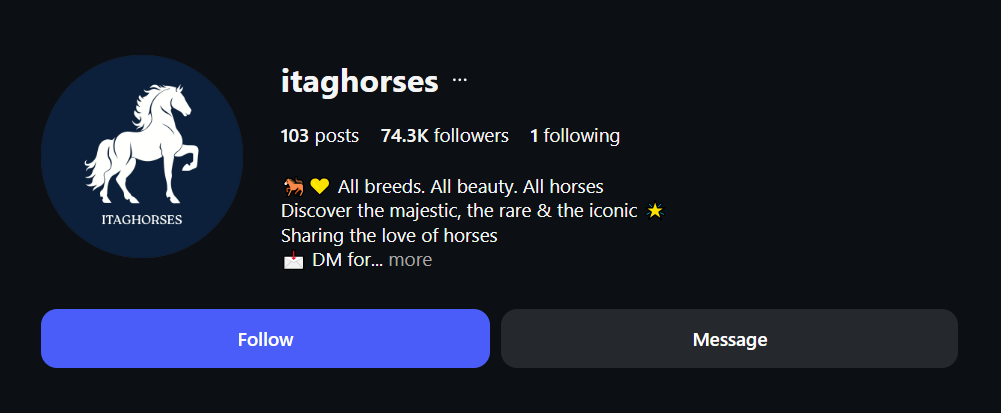 Instagram account
