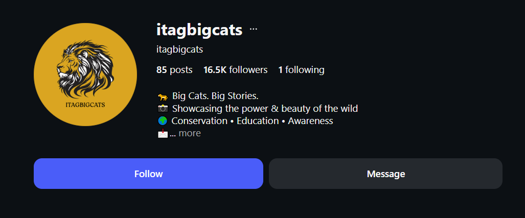 @itagbigcats - image 1 of 1